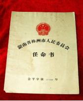 file0003.jpg