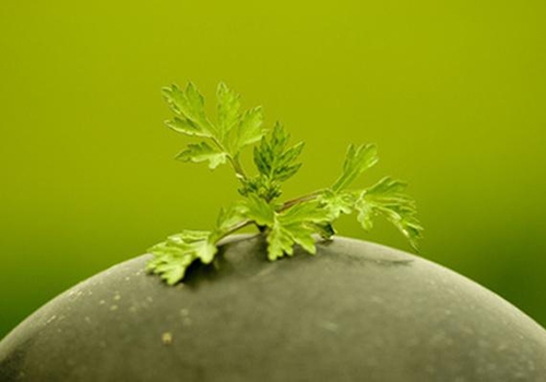 /cms/siteResource/upload/site2/uploadfiles/201607/20160715151750145.jpg