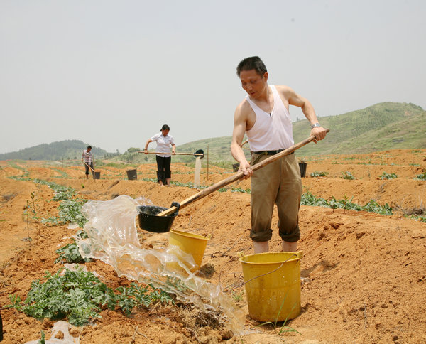 蒋孔吉帮助村民在西瓜地里浇水_副本
