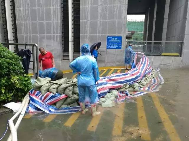 https://mmbiz.qlogo.cn/mmbiz_jpg/tgR93XDYT0ic4kCiaEUFEzxt5bT5a4xWXK7U4OfDA6WU9HdtYNuERKKXl1XqePuMtv9T8SUmdQ3Q4o4qTz97rZ7g/640?wx_fmt=jpeg