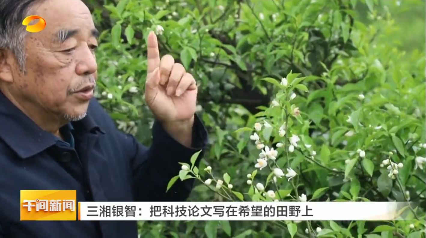 【湖南卫视午间新闻】三湘银智：把科技论文写在希望的田野上