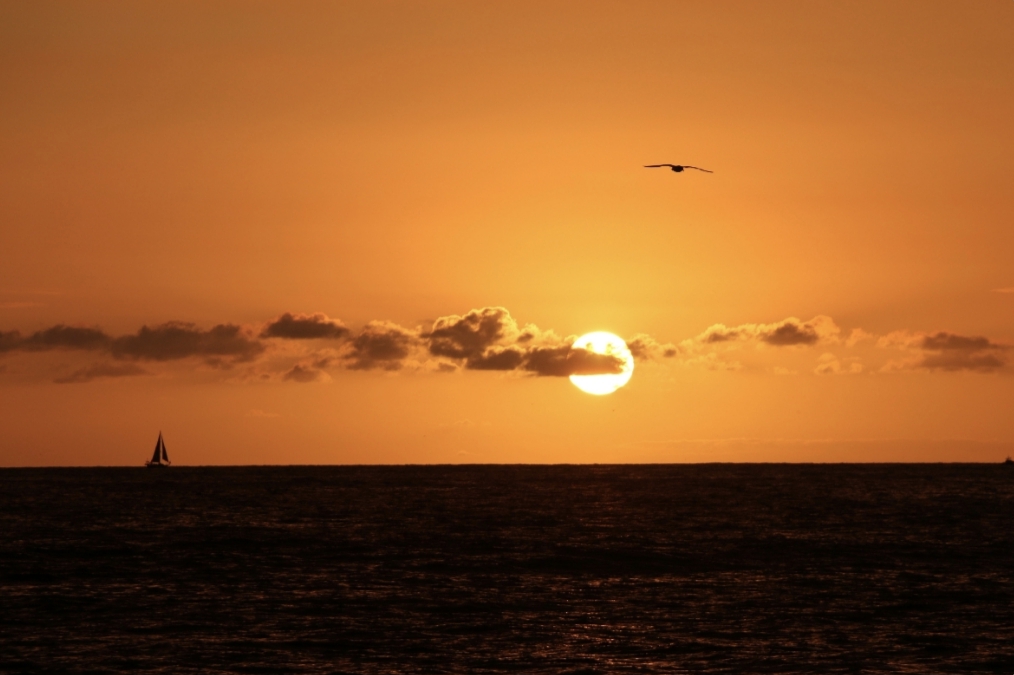夕阳下&middot;归航